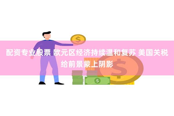 配资专业股票 欧元区经济持续温和复苏 美国关税给前景蒙上阴影