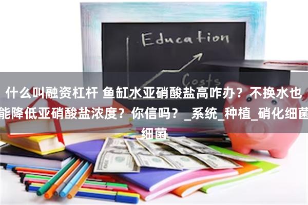 什么叫融资杠杆 鱼缸水亚硝酸盐高咋办？不换水也能降低亚硝酸盐浓度？你信吗？_系统_种植_硝化细菌