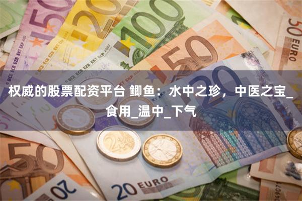 权威的股票配资平台 鲫鱼：水中之珍，中医之宝_食用_温中_下气